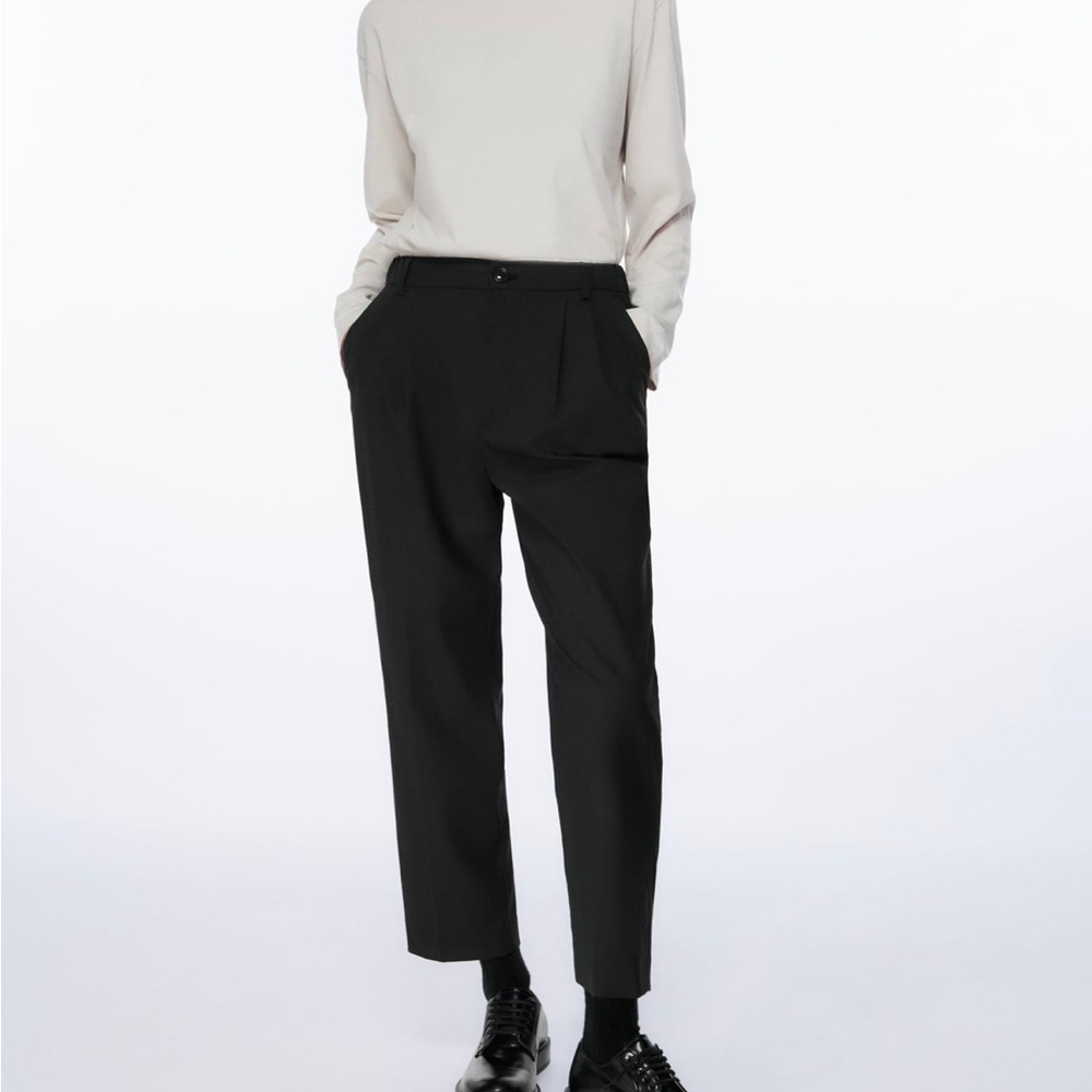 Zara Pleated Ankle Pants